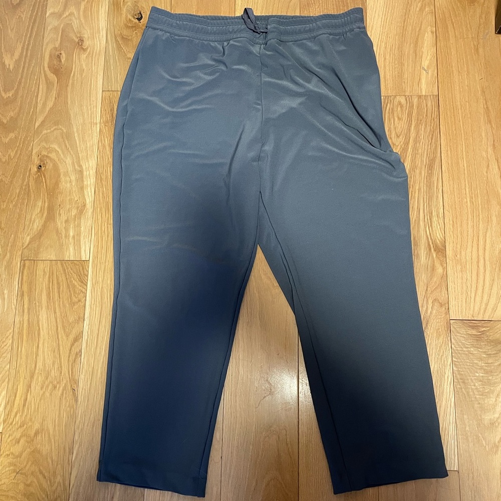 Joie Grey Pant